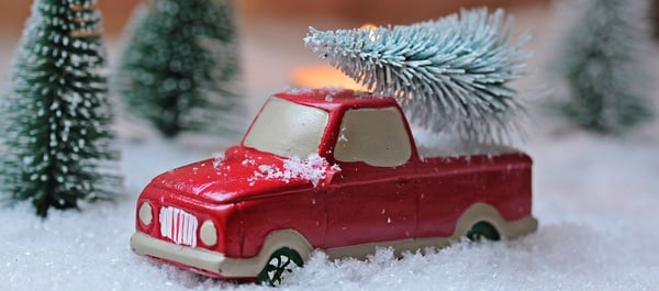 Een alternatief voor de kerstboom?